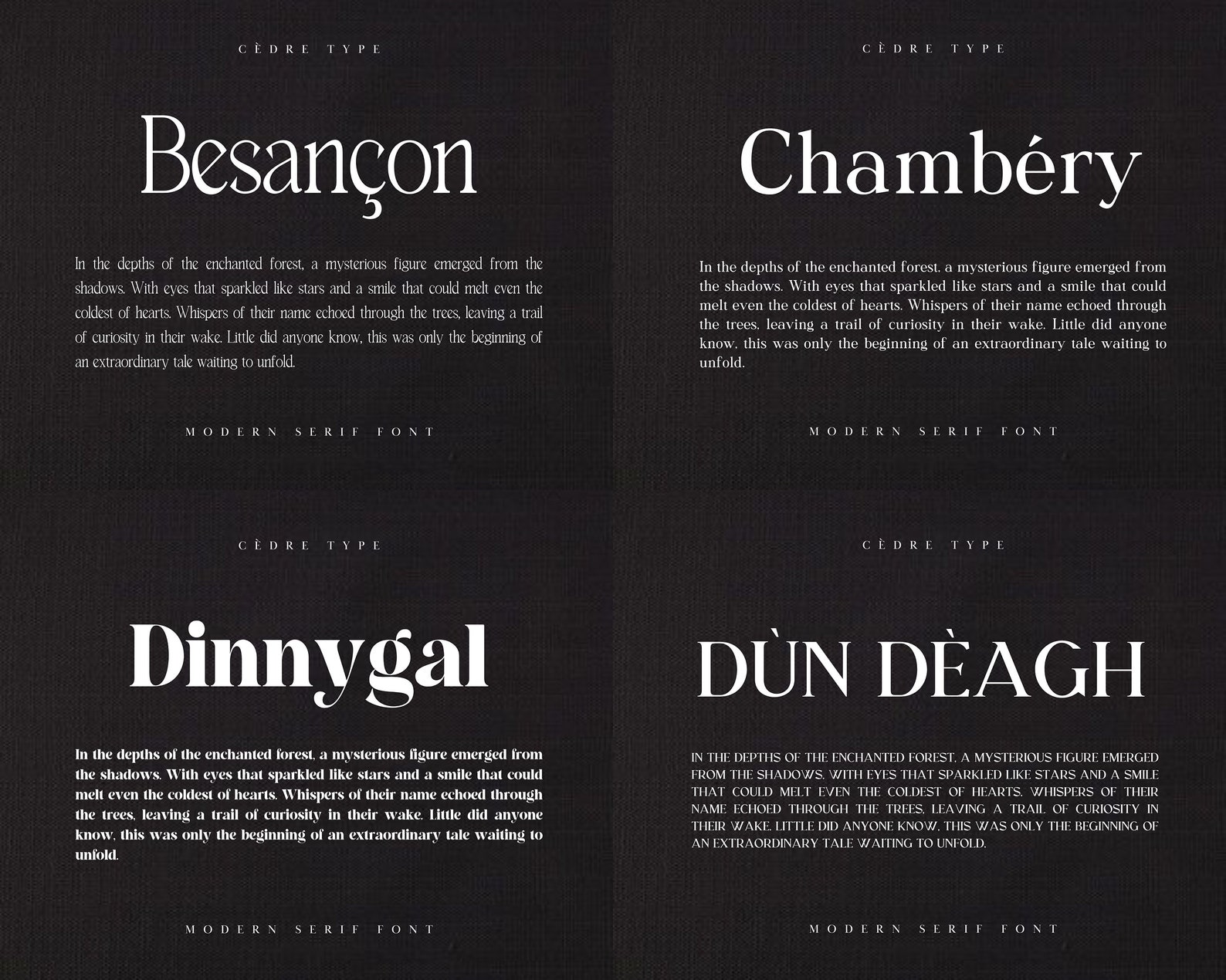 Modern Serif Fonts Bundle 1, Elegant Modern Serif Font OTF, Procreate ...