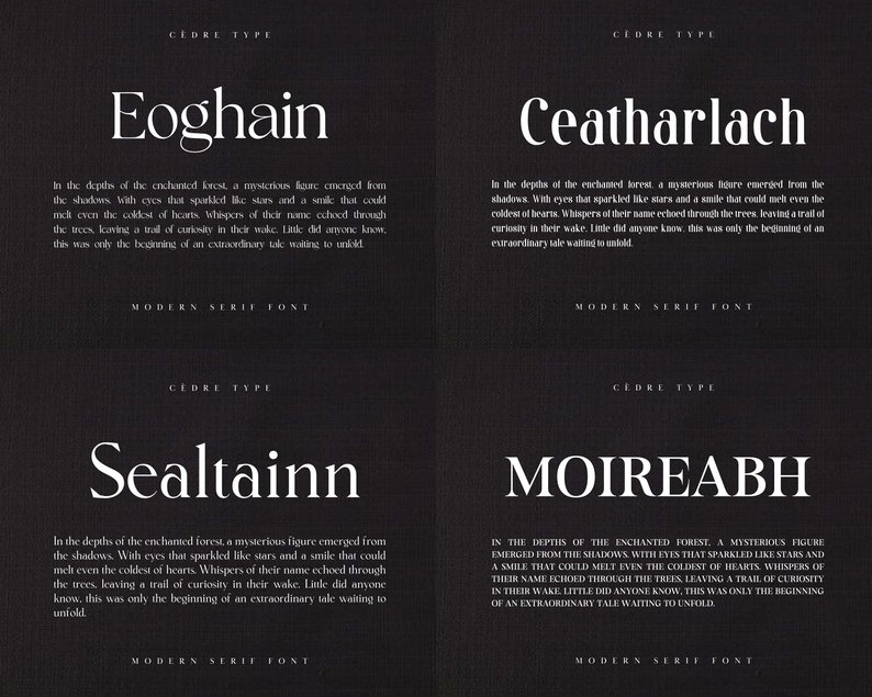 Modern Serif Fonts Bundle 1, Elegant Modern Serif Font OTF, Procreate ...