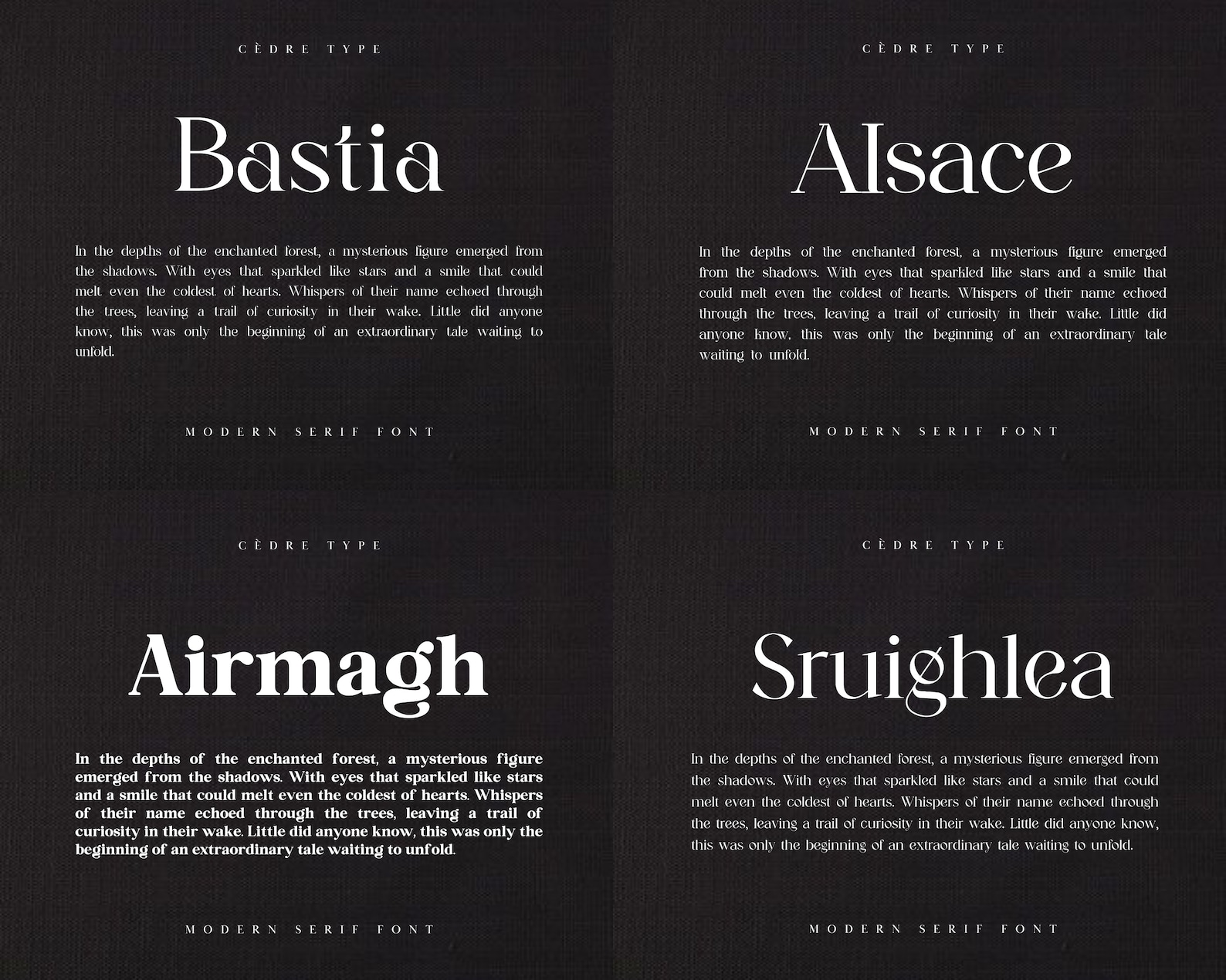 Modern Serif Fonts Bundle 1, Elegant Modern Serif Font OTF, Procreate ...