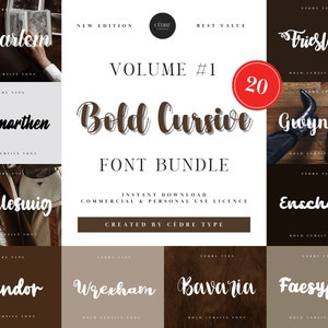 Bold Cursive Fonts Bundle 1, Bold Cursive Fonts OTF, Signature Font, moderne Kalligraphie Fonts, Handschrift handgeschriebene Fonts, Script Fonts