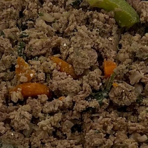 Homemade Dog Food Recipe