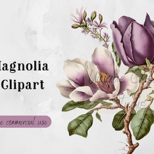 Magnolia Flower Clipart | PNG Instant Download Free Commercial Use - Perfect for Invitations, T-Shirts and more