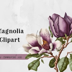 Magnolia Flower Clipart - Perfect for Invitations, Wall Art, and much more