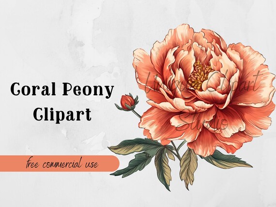 Vintage Coral Peony Flower Clipart PNG Instant Download With Free  Commercial Use Perfect for Scrapbooking and More - Etsy