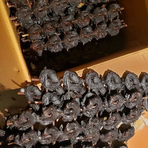 Puede incluir: Primer plano de una gran cantidad de pescado ahumado en brochetas. El pescado es de color marrón oscuro y tiene un aspecto ligeramente carbonizado. Está dispuesto en filas en una caja de cartón.