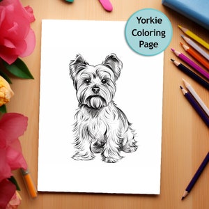 Yorkshire Terrier, Coloring Page, Dog Portrait, Printable Coloring Page, Coloring for Adults and Kids, PNG, Instant Download, Commercial Use