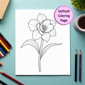 Daffodil, Flower, Coloring Page, Flower Portrait, Printable Coloring Page, Coloring for Adults and Kids, Instant Download, Commercial Use