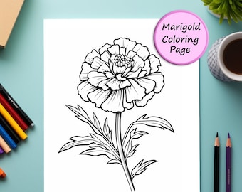 Marigold, Flower, Coloring Page, Flower Portrait, Printable Coloring Page, Coloring for Kids and Adults, Instant Download, Commercial Use