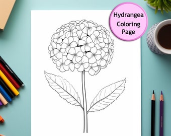 Hydrangea Coloring Page, Floral Line Art (PNG Digital Download)