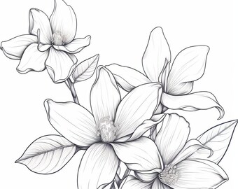 Frangipani Flower Coloring Page | Printable Floral Portrait (Instant Download)