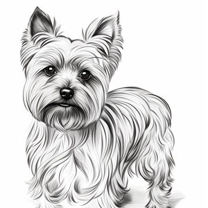 Yorkshire Terrier | Yorkie | Coloring Pages | Pet Portrait | Printable Coloring Pages | Instant Download | Commercial Use
