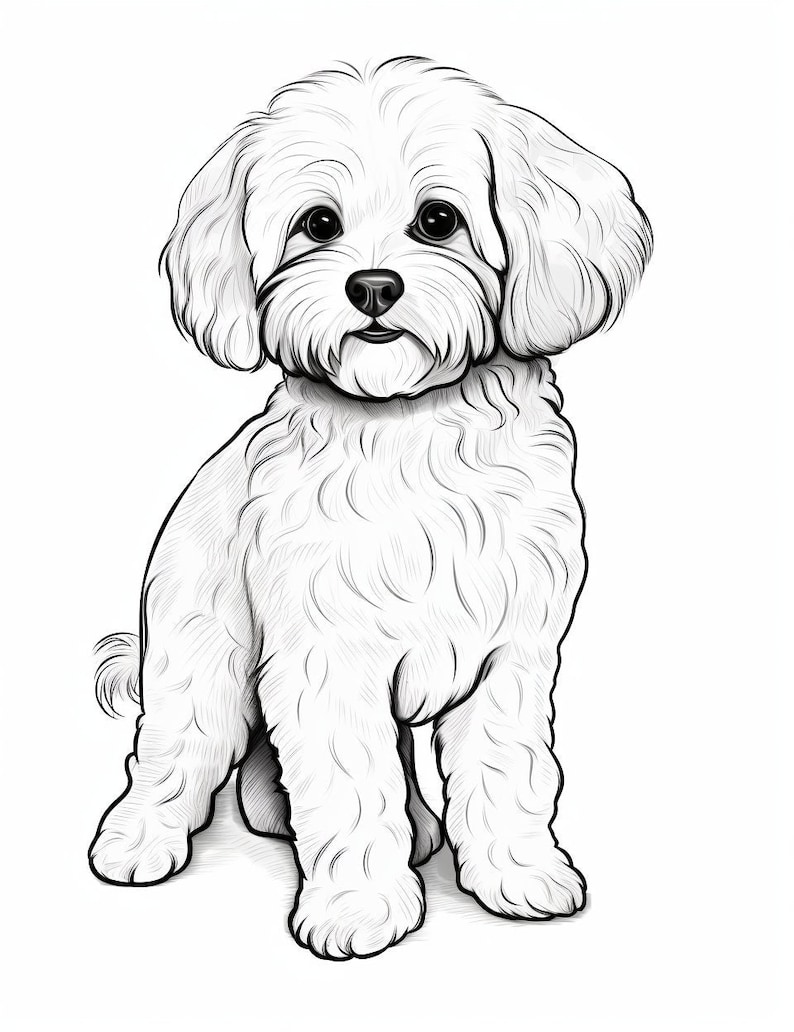 Maltipoo Dog Coloring Page Pet Portrait Printable Etsy
