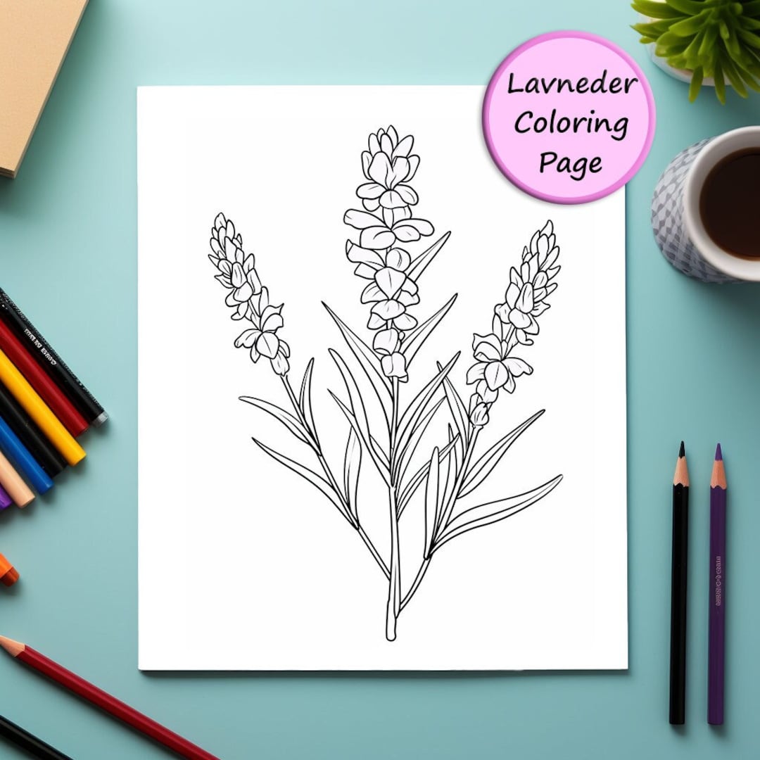 Lavender, Flower Portrait, Printable Coloring Page, Coloring for Adults ...