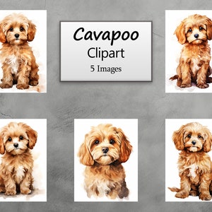 Cavapoo, Dog, Watercolor Clipart, Dog Portrait, Scrapbooking, Journal, Paper Crafts, Digital Prints, PNG, Instant Download, Commercial Use