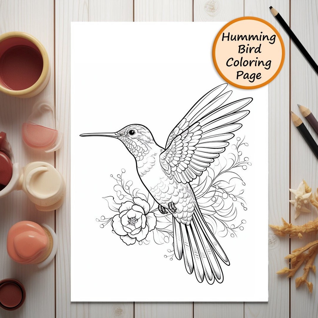 Humming Bird | Bird | Coloring Page | Bird Portrait | Printable