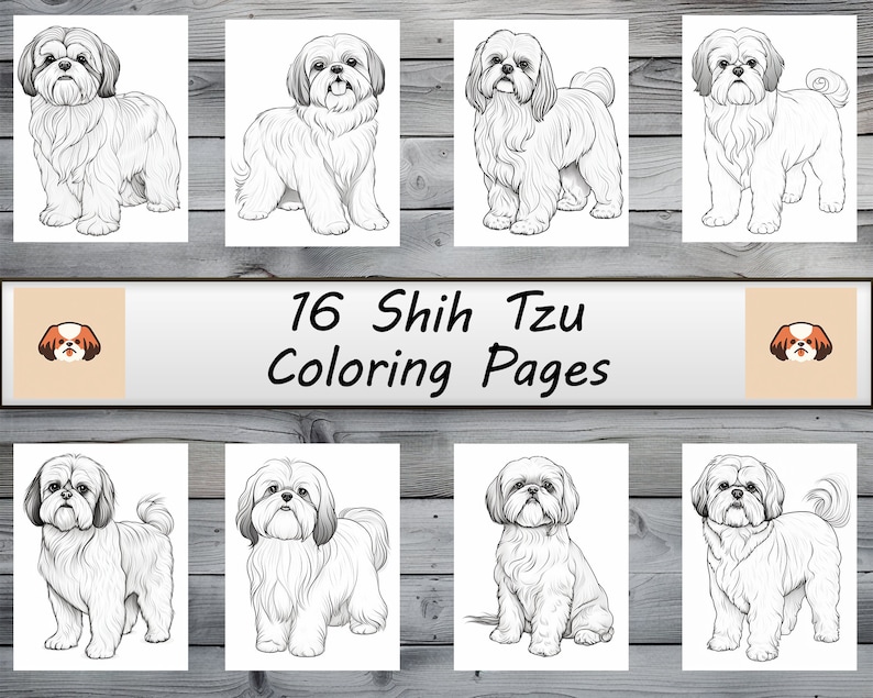 Shih Tzu, Dogs, Dog Coloring , Coloring Pages, Pet Portrait, Printable ...