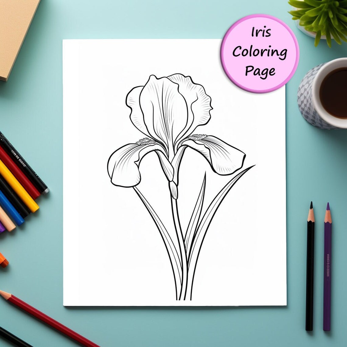 Iris Flower Portrait Coloring Page, Printable Floral Art (digital ...