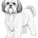 Shih Tzu | Dog | Coloring Pages | Pet Portrait | Printable Coloring ...