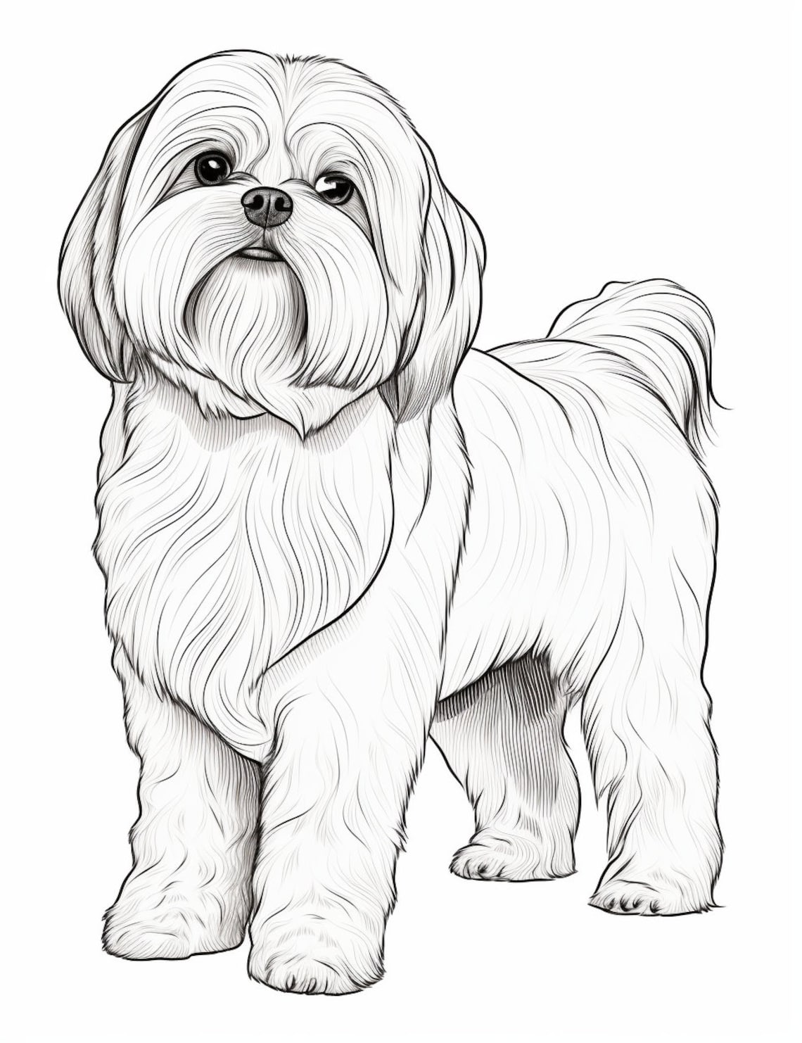Shih Tzu | Dog | Coloring Pages | Pet Portrait | Printable Coloring ...