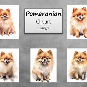 Pomeranian, Dog, Watercolor Clipart, Pet Portrait, Scrapbooking, Digital Print, Paper Crafts, Journal, PNG, Instant Download, Commercial Use