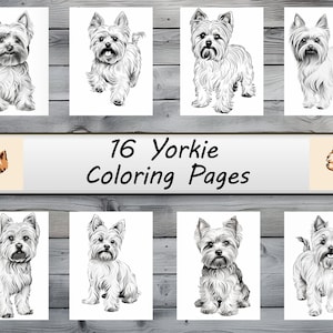 Yorkie, Dogs, Dog Coloring , Coloring Pages, Pet Portrait, Printable Coloring Page, Coloring for Adults, Instant Download, Commercial Use