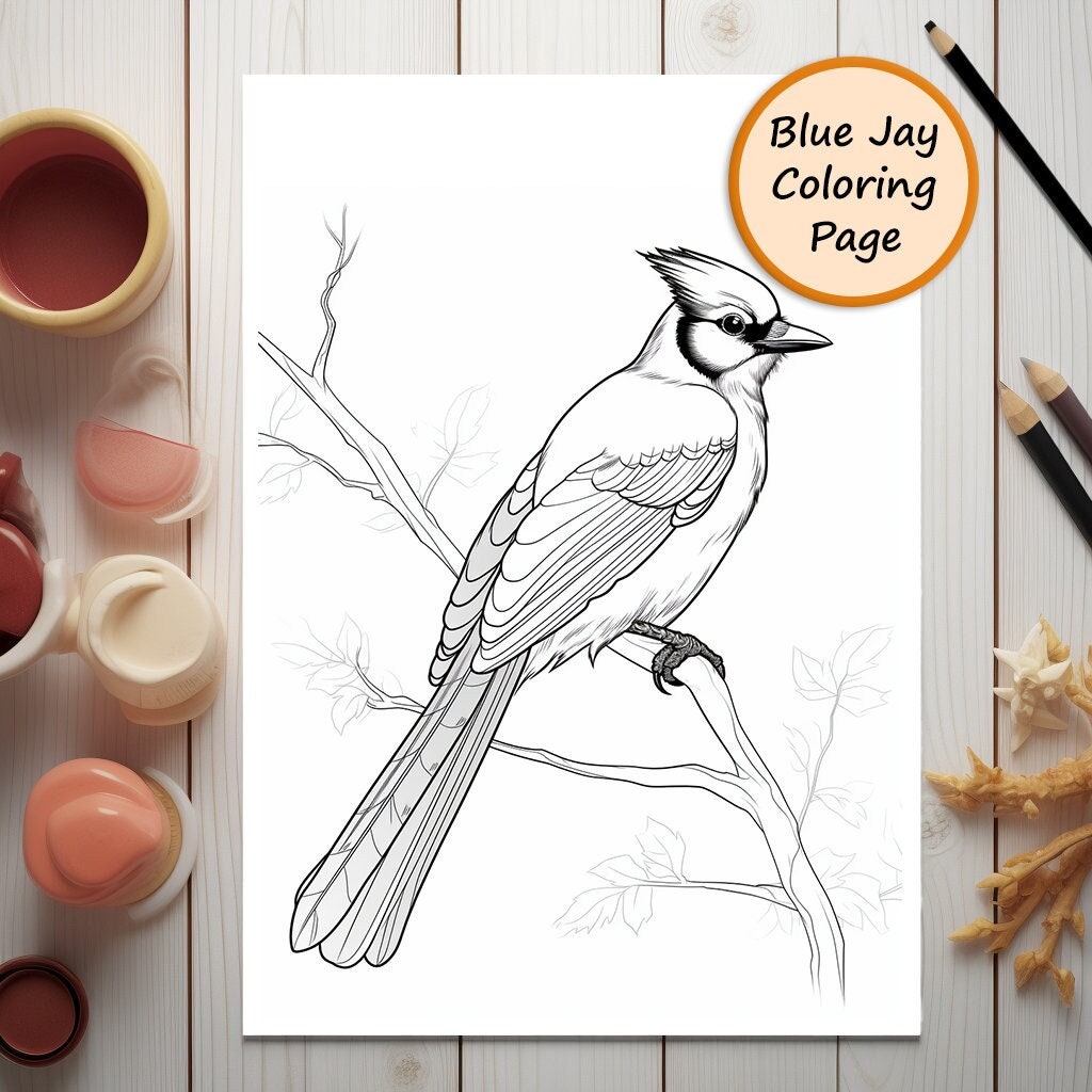 Blue Jay | Bird | Coloring Page | Bird Portrait | Printable Coloring ...