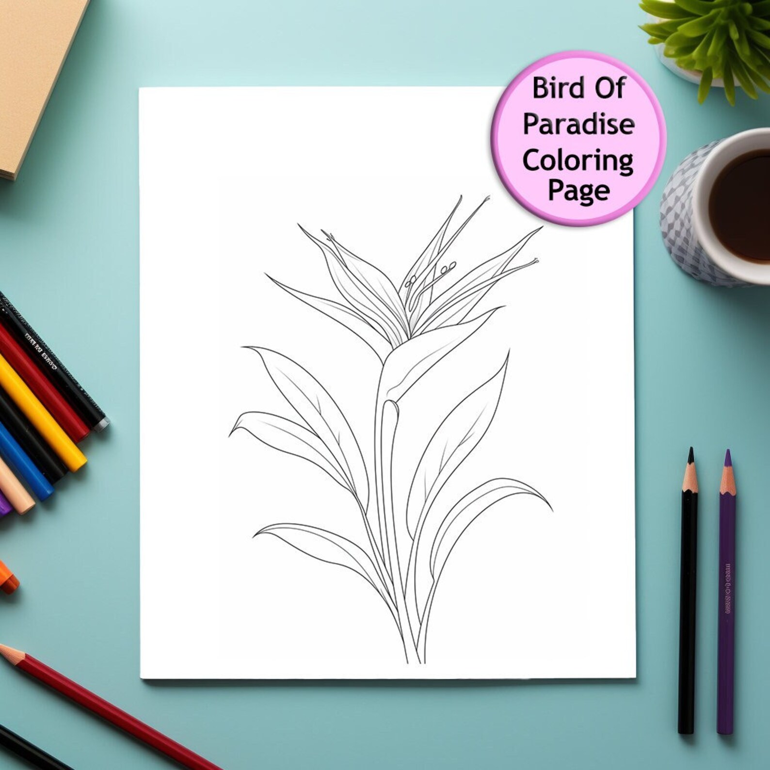 Bird of Paradise Flower Coloring Page, Printable Floral Portrait (PNG ...