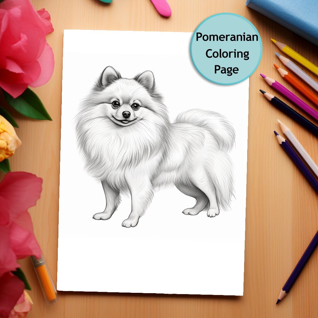 Pomeranian, Dog, Coloring Page, Dog Portrait, Printable Coloring Page ...