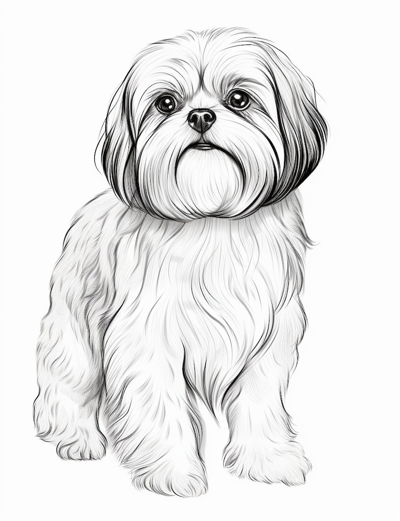 Shih Tzu | Dog | Coloring Pages | Pet Portrait | Printable Coloring ...
