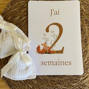 15 cartes étapes de bébé de ses 3 premiers mois et de sa première année