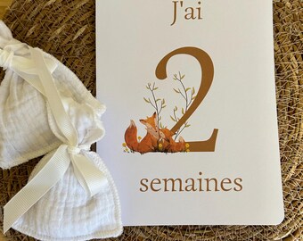 15 cartes étapes de bébé de ses 3 premiers mois et de sa première année