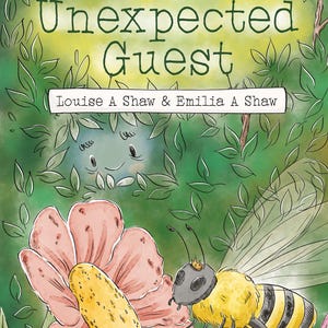 The Unexpected Guest Chapter Book, Young Reader 7-12yrs Tawny Owl Wood Books, Children&#39;s Chapter Books, Gift for Children