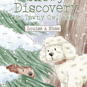 Snowy Discovery Chapter Book, Young Reader 7-12yrs Tawny Owl Wood Books, Children&#39;s Chapter Books, Gift for Children