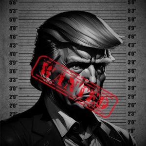Trump Wanted Mugshot 2024 PNG