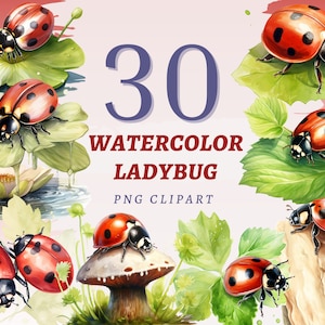 30 clipart acquerello coccinella, PNG trasparenti di alta qualità, download istantaneo, uso commerciale, illustrazioni di insetti rossi, disegni di coccinelle