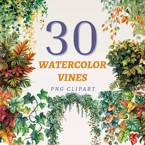 30 clipart de videiras em aquarela, PNGs transparentes de alta qualidade, download instantâneo, uso comercial -