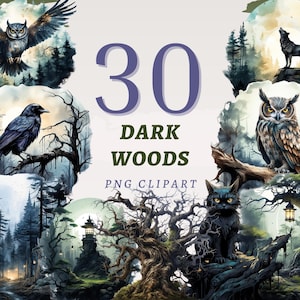 30 Clipart di boschi oscuri, PNG trasparenti di alta qualità, download immediato, uso commerciale - Grafica di foresta inquietante, pacchetto di immagini di paesaggi spettrali