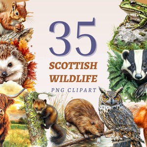 35 Scottish Wildlife clipart, hoge kwaliteit transparante png's, instant download, commercieel gebruik - afbeeldingen Schotland natuur, prints van edelherten