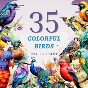35 kleurrijke vogels clipart, hoge kwaliteit transparante png's, instant download, commercieel gebruik - tropische vogels bundel, kolibrie afbeeldingenset