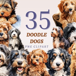 May include: A collection of watercolor-style illustrations of various Doodle dog breeds. The image features multiple dogs with different coat colors and patterns, including gold, black, and brown. Text reads "35 Doodle Dogs PNG Clipart."