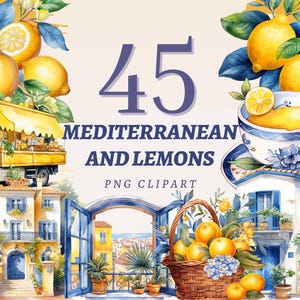45 cliparts méditerranéen et citrons, PNG transparents de haute qualité, téléchargement immédiat, usage commercial - fleurs d'agrumes, images bleu été