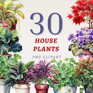 観葉植物のクリップアート30点、高品質の透明PNG、即時ダウンロード、商用利用可 - 多様な植木鉢、ホワイトオーク、モンステラ、フォトス