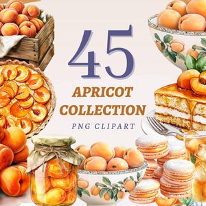 45 Apricot Sammlung Clipart, hochwertige transparente PNGs, sofortiger Download, kommerzielle Nutzung - frisches Obst Drucke, gesunde Ernährung Kunstwerke