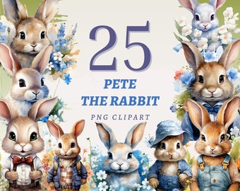 25 Pete the Rabbit Clipart, High Quality Transparent PNGs, Instant Download, Commercial Use - Cute Rabbits artwork, Storybook Illustrations