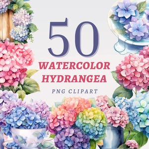 50 cliparts hortensia aquarelle, PNG transparents de haute qualité, téléchargement immédiat, usage Commercial - images de fleurs de mariage, impressions d'hortensias
