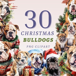 30 Bulldogge Weihnachten Clipart, hohe Qualität transparente PNGs, sofortiger Download, kommerzielle Nutzung - Haustiere mit Pullover, süße Bulldogge PNG Druck