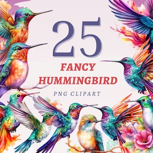25 cliparts fantaisie colibri, PNG transparents de haute qualité, téléchargement immédiat, usage Commercial - lot d'oiseaux, graphique de colibris colorés