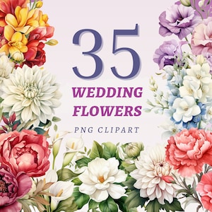 35 bruiloft bloemen clipart, hoge kwaliteit transparante PNGs, Instant Download, commercieel gebruik - witte bloemenillustraties, bloemstuk