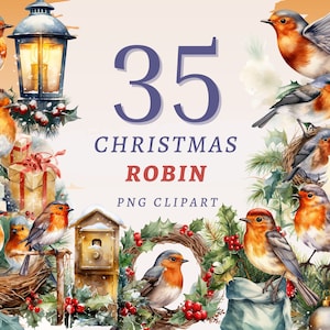 35 Weihnachten Rotkehlchen Clipart, hochwertige transparente PNGs, sofortiger Download, kommerzielle Nutzung - Gefiederte Freunde Bundle, Winter Vögel png set