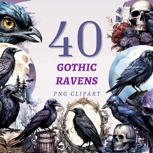40 Gothic Ravens clipart, hoge kwaliteit transparante png's, instant download, commercieel gebruik - Black Birds grafische bundel, Crows printables set
